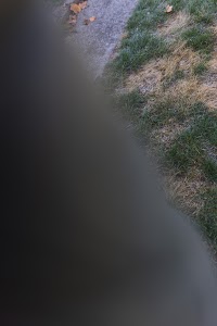 211A2183.jpg