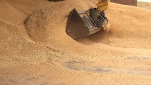 tracktor-scoop-takin-grain-from-the-pile-2024-09-22-18-54-42-utc.jpg