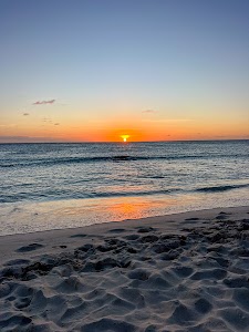 3561562982837798_img_7730.jpg