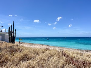 49212113780875266_img_7667.jpg