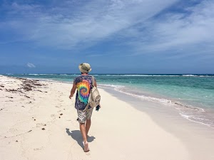 7105522282468926_img_7499.jpg