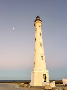 7473738801728893_img_7743.jpg