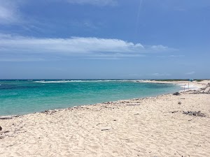 902570182093845_img_7494.jpg