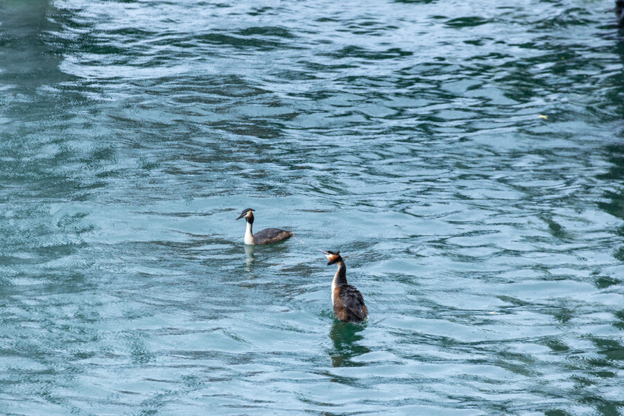 7708376203652574_4r6a5198.jpg