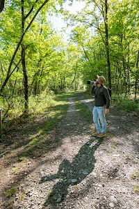 4329845619116388_p1300631.jpg