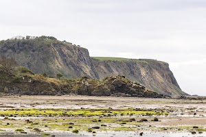 04251803.JPG