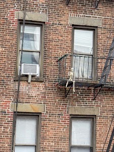 27605517379227495_img_0027.jpg