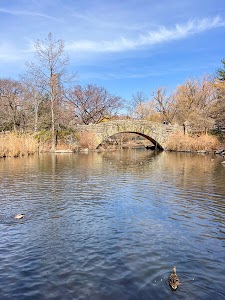 7188966167230493_img_8155.jpg