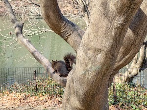 7553374251006566_img_8175.jpg