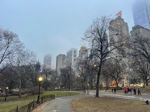 7688483591477477_img_8502.jpg