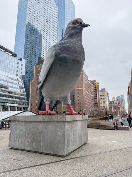 8824666530246856_img_0047.jpg