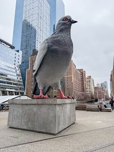 8824666530246856_img_0047.jpg