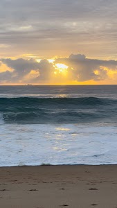 gettyimages-2212574844-jpg-600-esp-transient.jpg