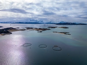 5100681189219822_dji_20250507143928_0306_d-enhanced-nr.jpg