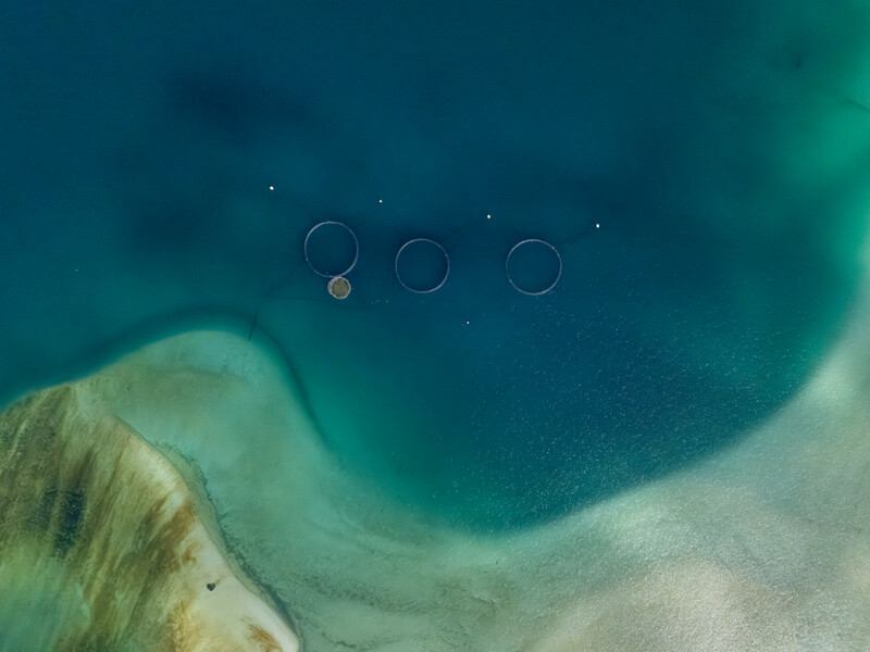741988634717663_dji_20250507143707_0291_d-enhanced-nr.jpg
