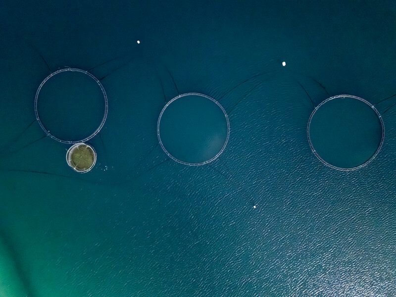 765251996211129_dji_20250507143807_0297_d-enhanced-nr.jpg