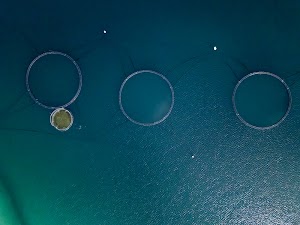 765251996211129_dji_20250507143807_0297_d-enhanced-nr.jpg