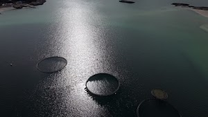 gettyimages-2214757255-jpg-600-esp-transient.jpg