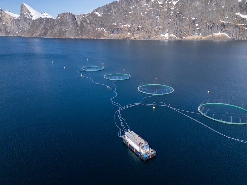 08104165386444917_dji_20250508152652_0403_d.jpg
