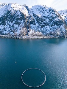 16199855610888503_dji_20250508152300_0390_d.jpg