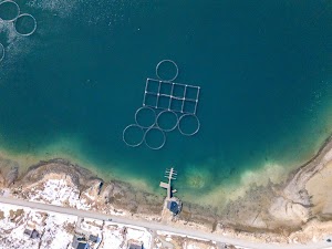 31542218209236084_dji_20250508155410_0413_d.jpg