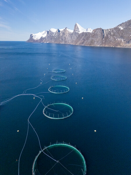 45106303361763067_dji_20250508152251_0389_d.jpg