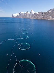 45106303361763067_dji_20250508152251_0389_d.jpg