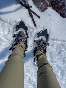 47570810943221_img_1409.jpg