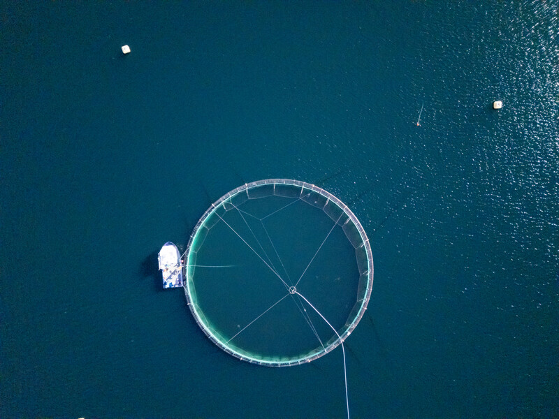 9783450776598241_dji_20250508152221_0385_d.jpg