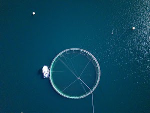 9783450776598241_dji_20250508152221_0385_d.jpg