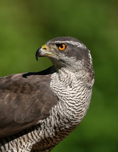 _DSC1623-Enhanced-NR-Edit.jpg