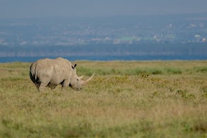 The Cliff_Nakuru_Said_M10.jpg
