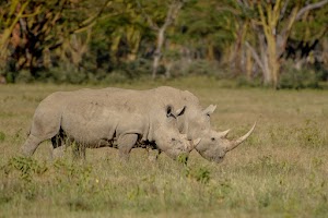 The Cliff_Nakuru_Said_M12.jpg
