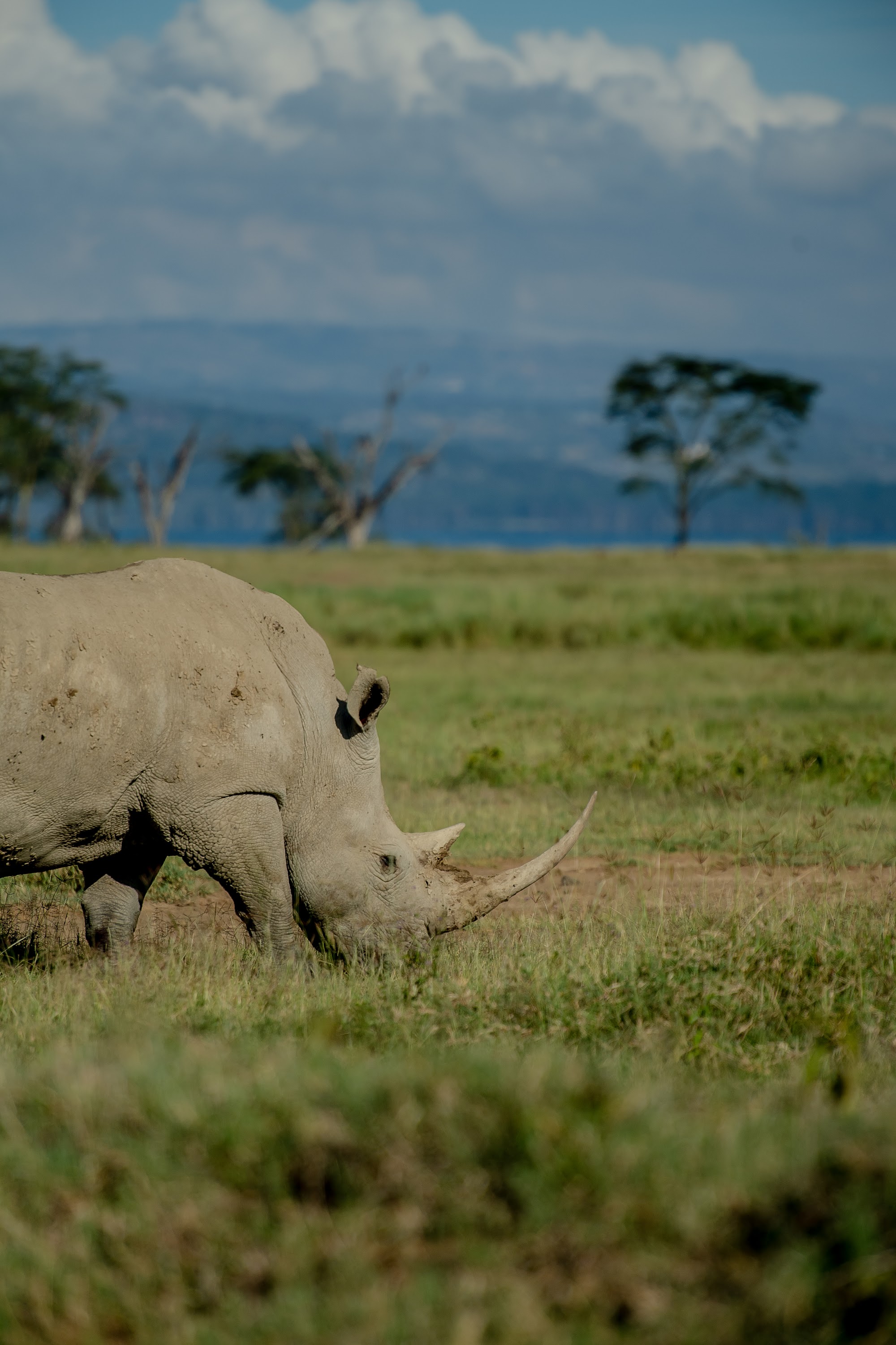 The Cliff_Nakuru_Said_M16.jpg
