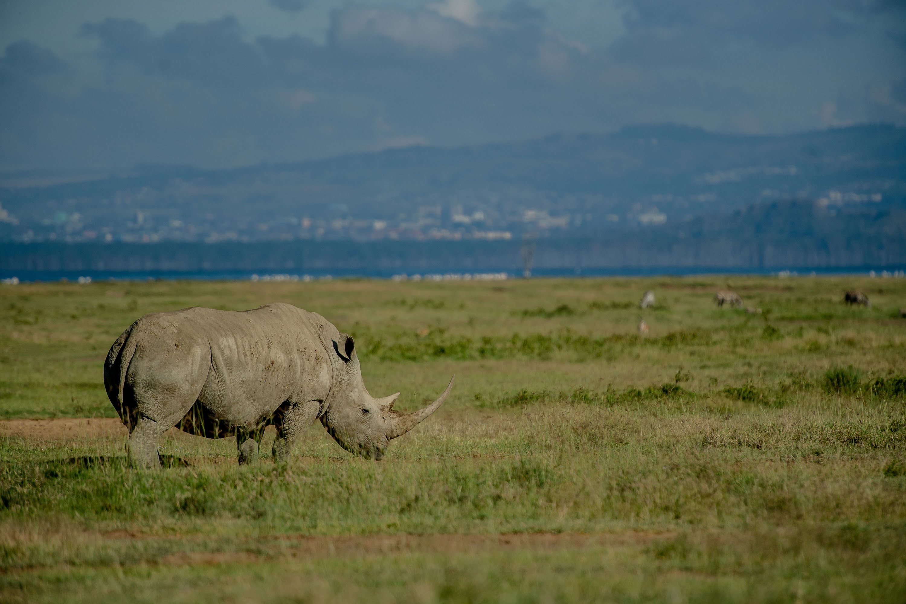 The Cliff_Nakuru_Said_M18.jpg