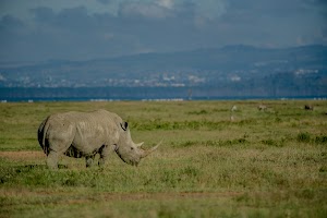 The Cliff_Nakuru_Said_M18.jpg