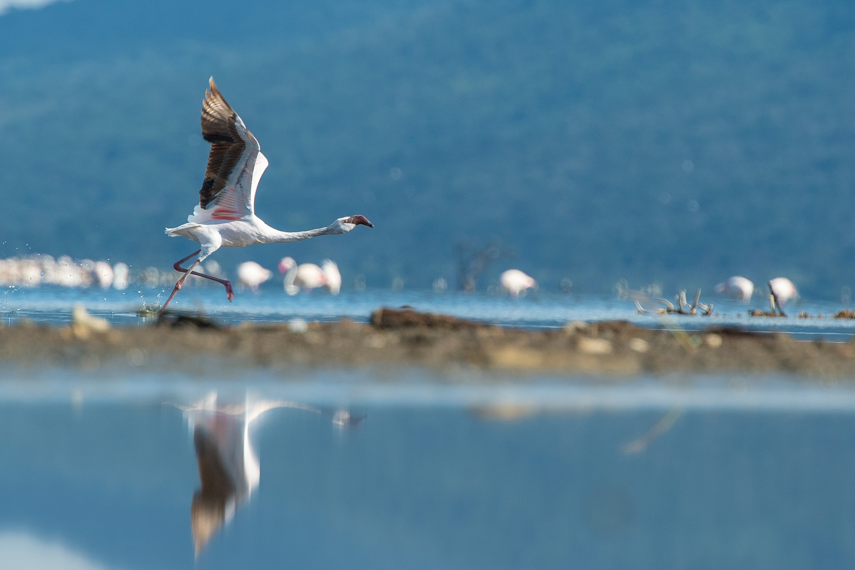 The Cliff_Nakuru_Said_M21.jpg