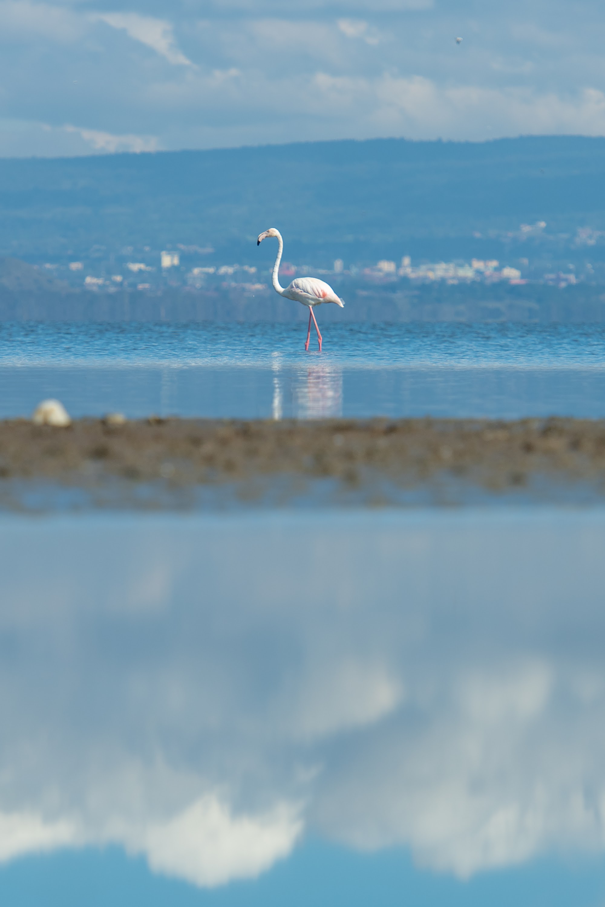 The Cliff_Nakuru_Said_M22.jpg