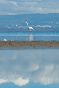 The Cliff_Nakuru_Said_M22.jpg