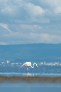 The Cliff_Nakuru_Said_M23.jpg