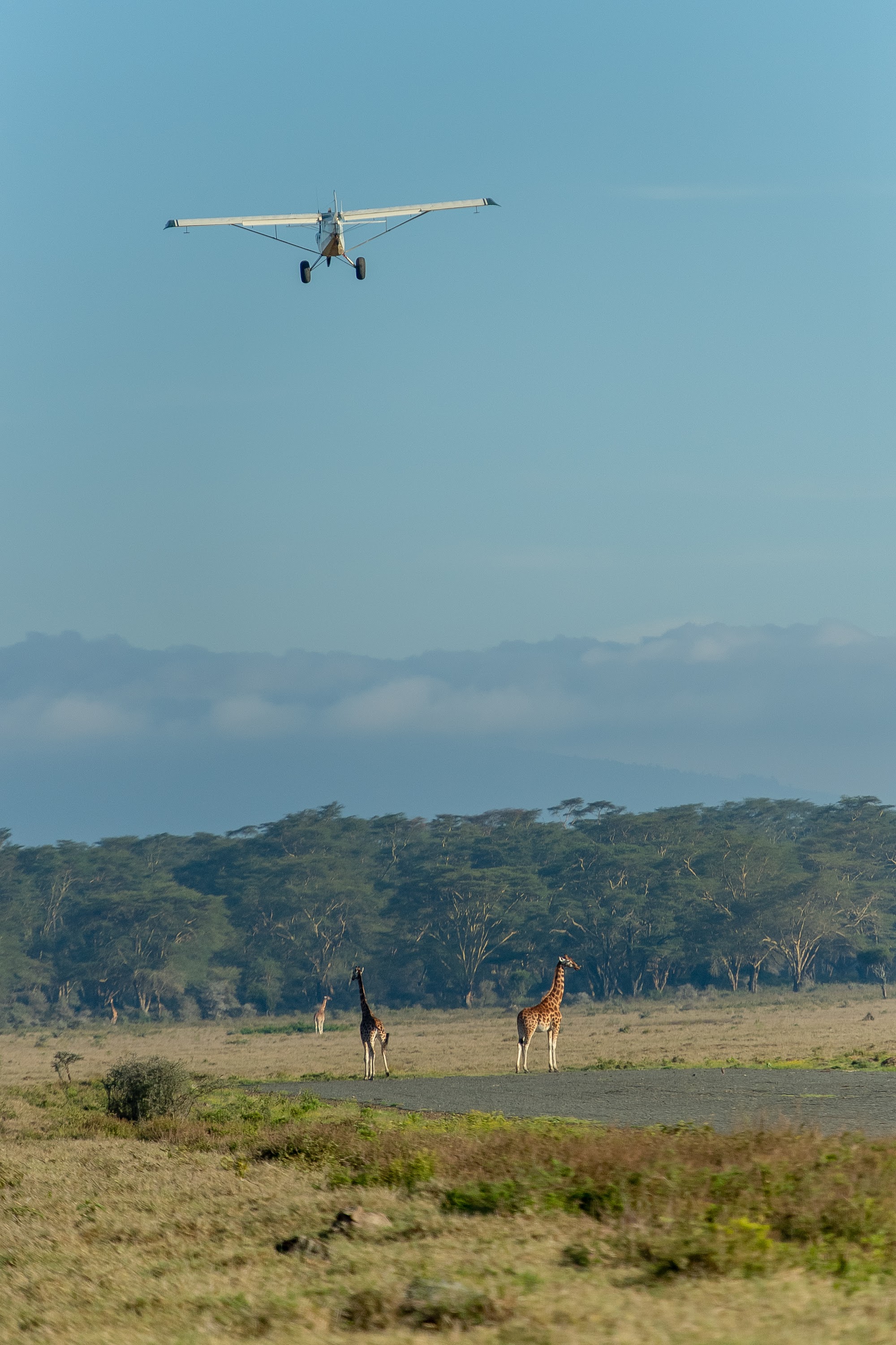 The Cliff_Nakuru_Said_M9.jpg
