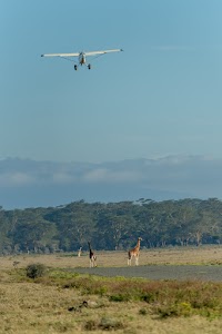 The Cliff_Nakuru_Said_M9.jpg