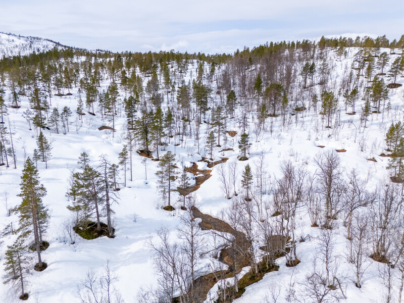 0682737141059655_dji_20250510102603_0505_d.jpg