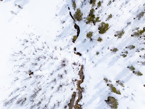 20610050585042283_dji_20250510102627_0508_d.jpg