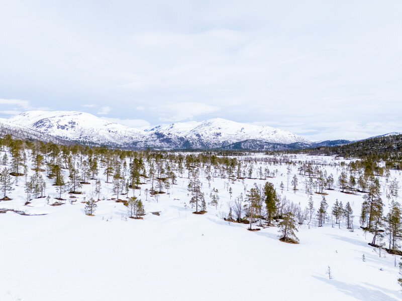 6432462085354367_dji_20250510102542_0502_d.jpg