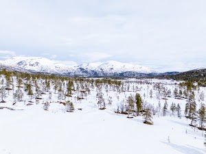 6432462085354367_dji_20250510102542_0502_d.jpg