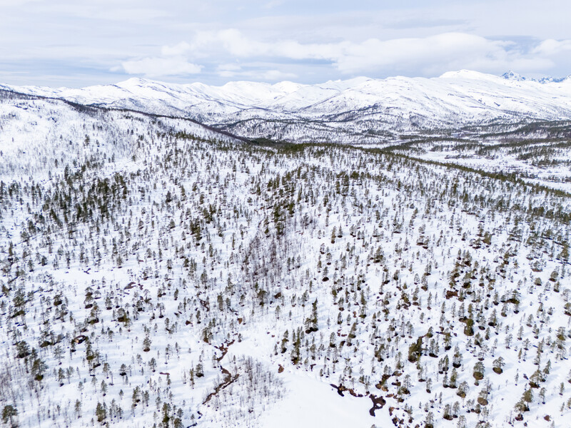 852016481711801_dji_20250510102818_0517_d.jpg