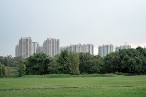 S5W05781.jpg