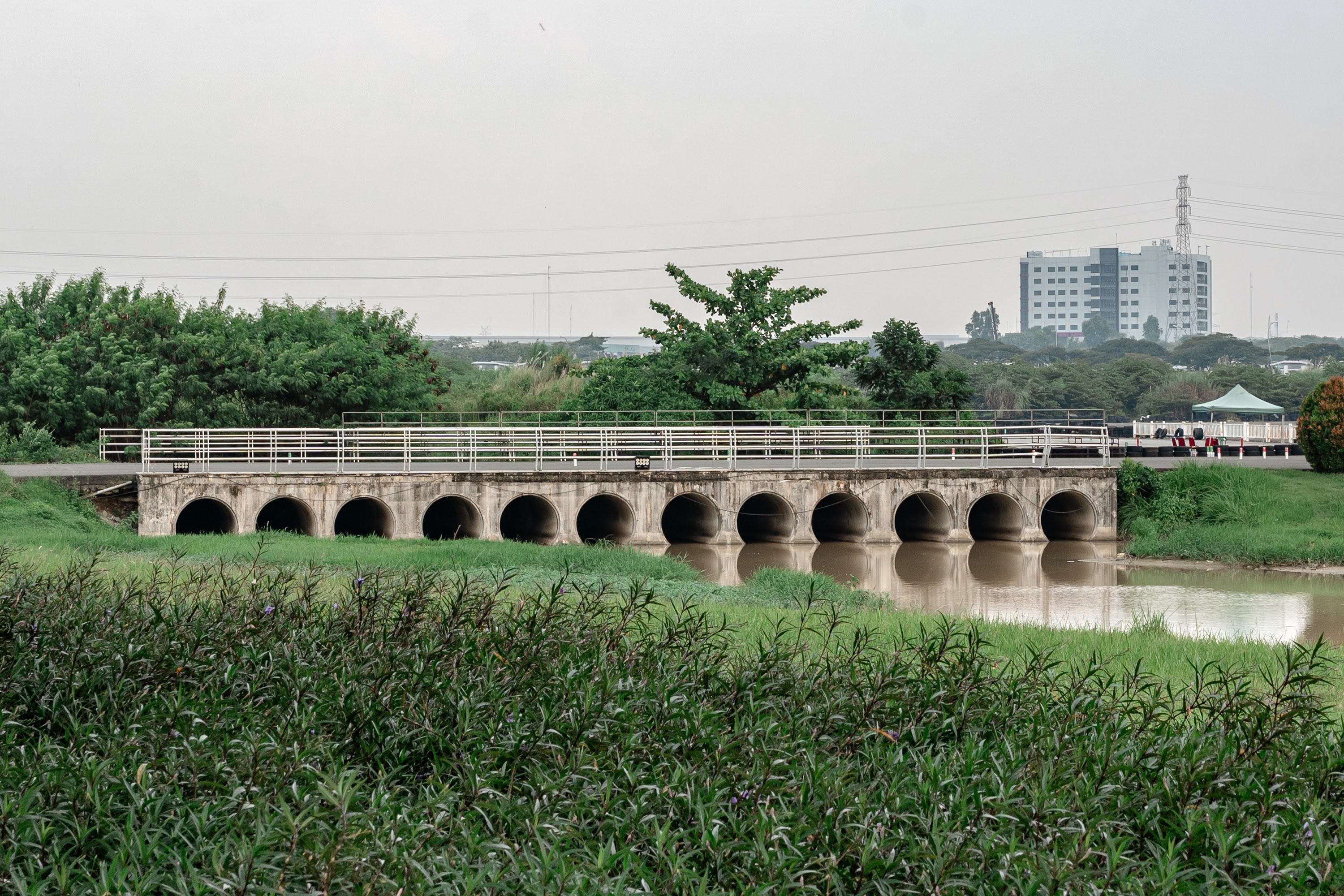 S5W05800.jpg