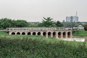 S5W05800.jpg